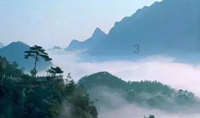 休闲钓鱼