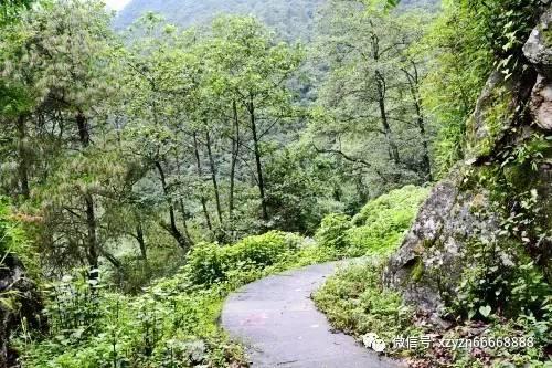 企业评估 | 安徽宏宇五洲医疗器械股份有限公司企业报告