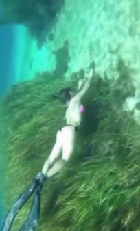 探索知识星球增加生女孩的几率,又没姐妹知道的?,共享知识的乐园!