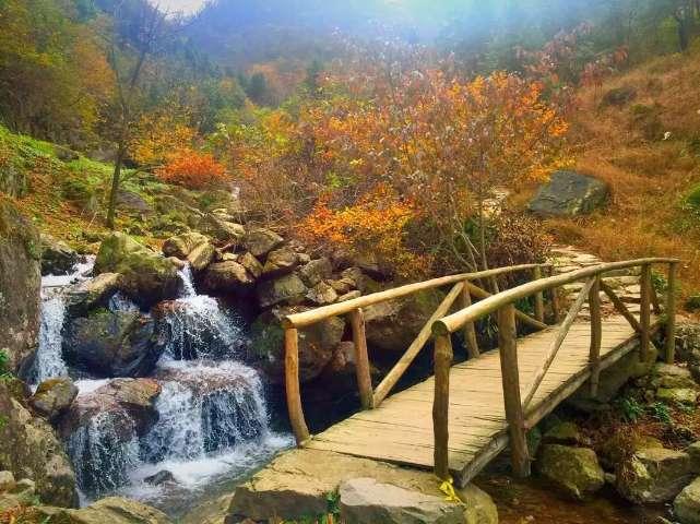 被80岁赵淑珍老年状态惊艳：脸得圆、衣要艳、发烫卷，老了才贵气